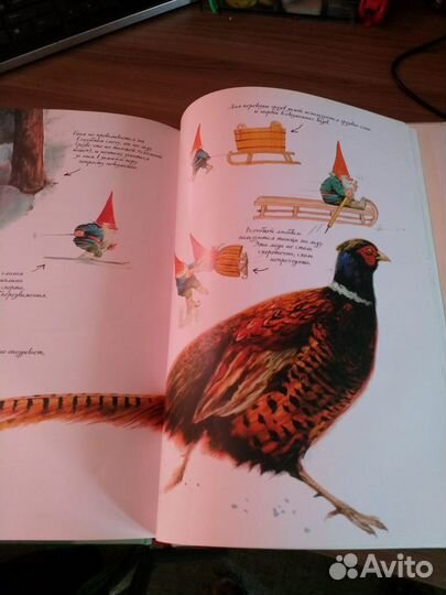 Книга «Тайны гномов» энциклопедия