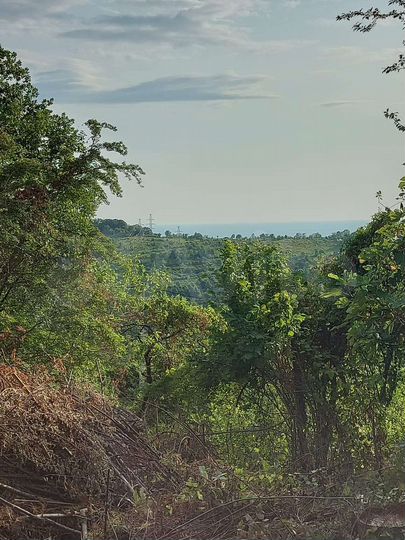 Участок 5 сот. (СНТ, ДНП)