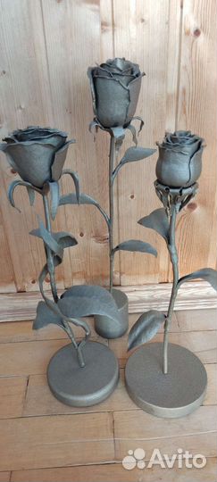 Роза железная