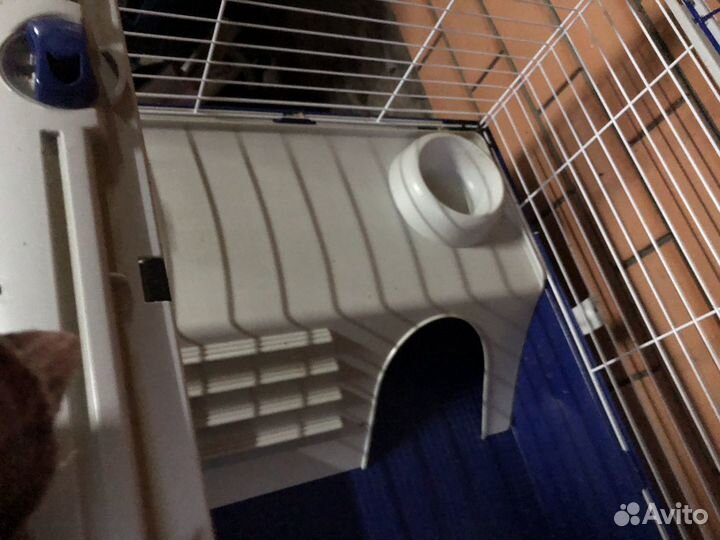 Клетка для грызунов