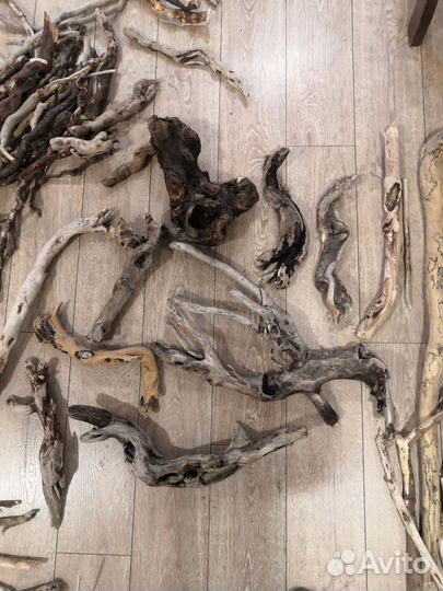 Коряги, ветки, стволы с Чёрного моря (дрифтвуд)