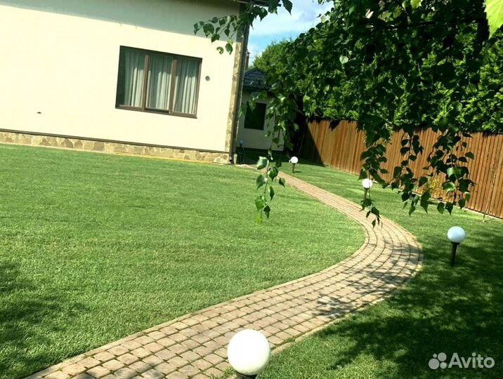 Рулонный газон 