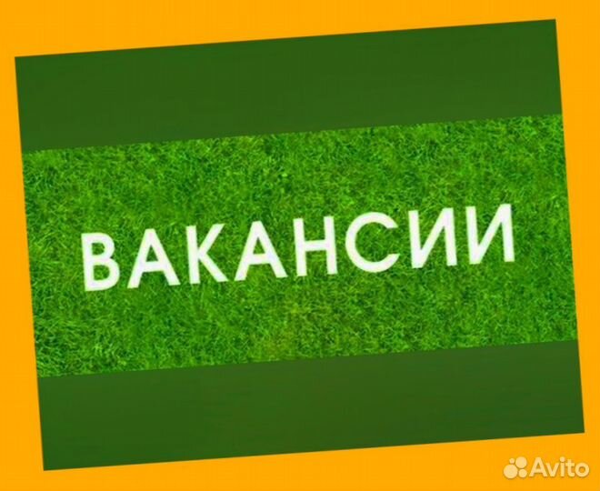 Маркировщик Вахта Жилье+Еда Еженедельный аванс М/Ж