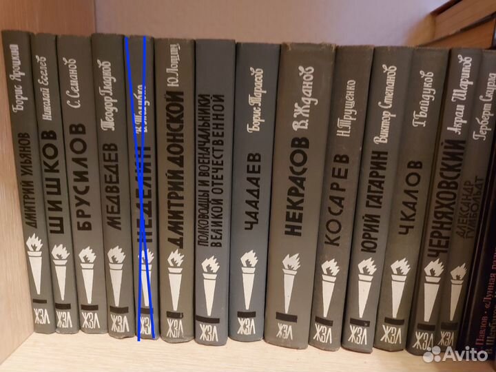 Книги серии жзл