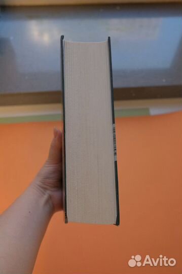 Диккер Жоэль Исчезновение Стефани Мейлер