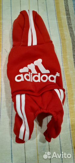 Костюм для собаки