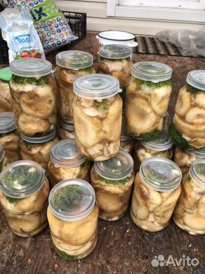 Продам Сырой Груздь Урожай 2023