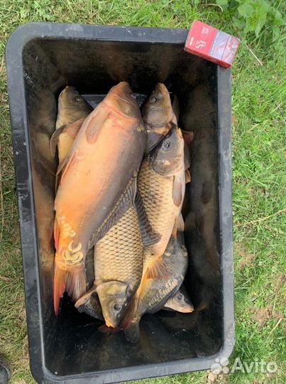 Рыбалка и отдых