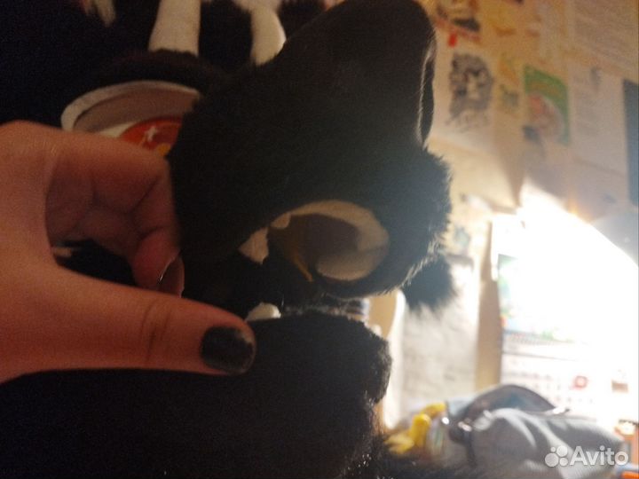 Фурсьют волка