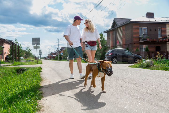 3-к. квартира, 101 м², 2/2 эт.