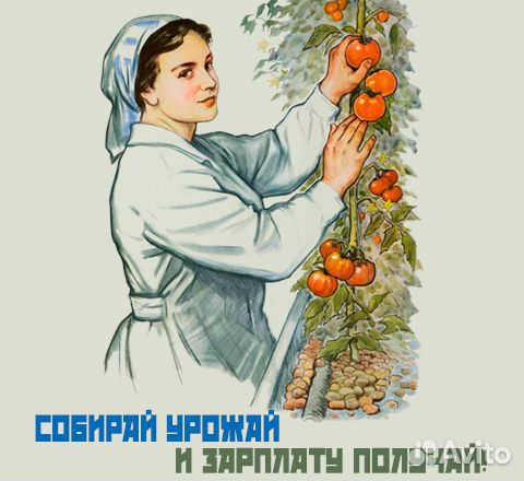 Работа на теплицы