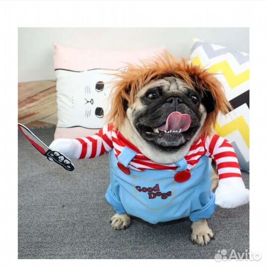 Костюм для собаки Новый