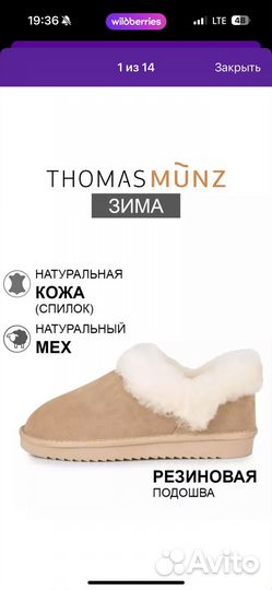 Thomas munz угги