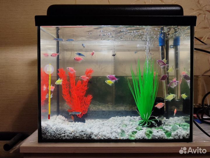 Аквариум + полный комплект для запуска под ключ