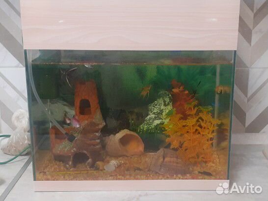 Аквариум