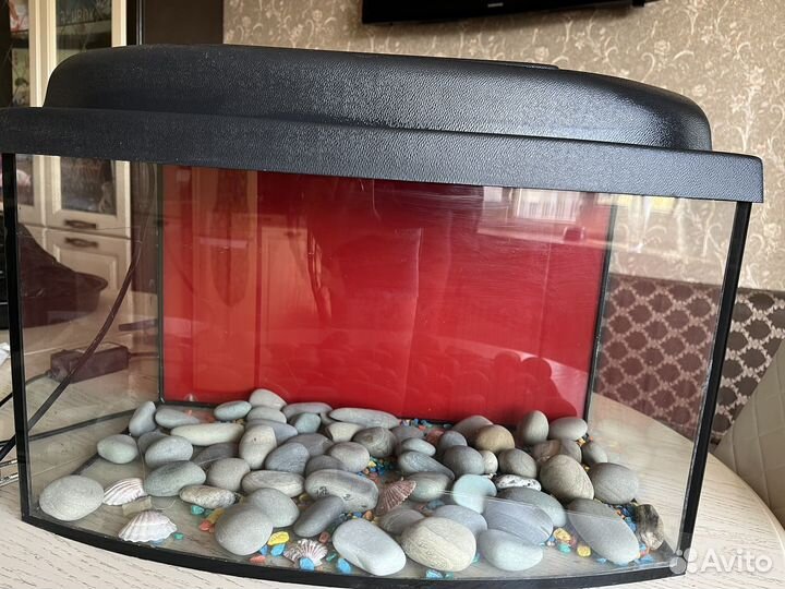 Аквариум на 40 литров