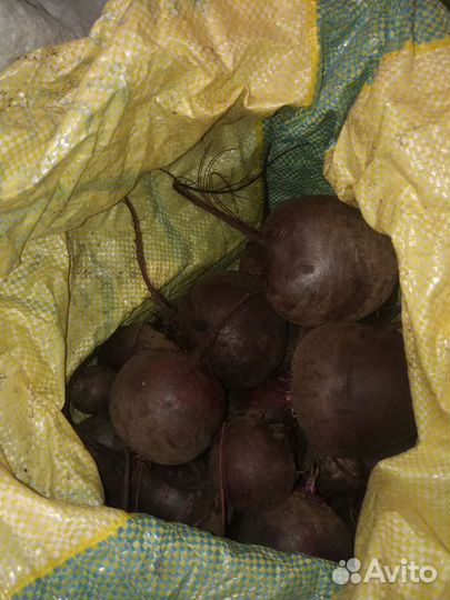 Домашние овощи