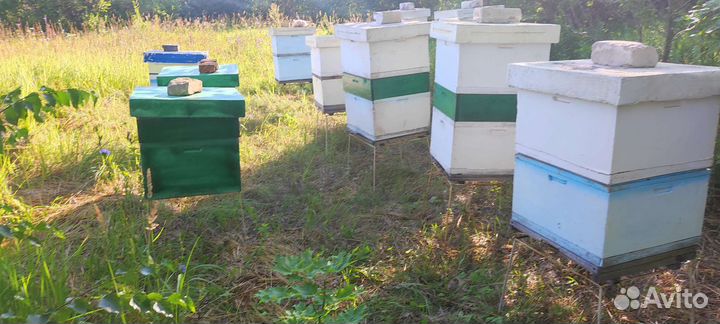 Мёд цветочный мед