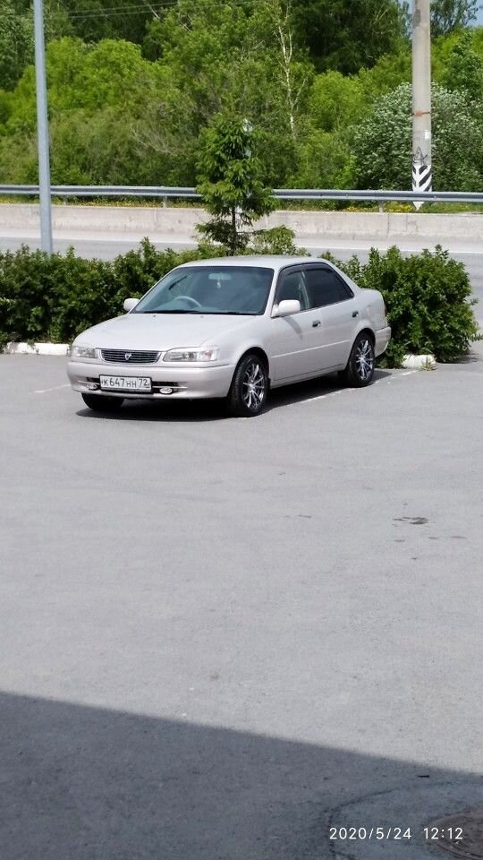 Toyota Corolla: фото владельца