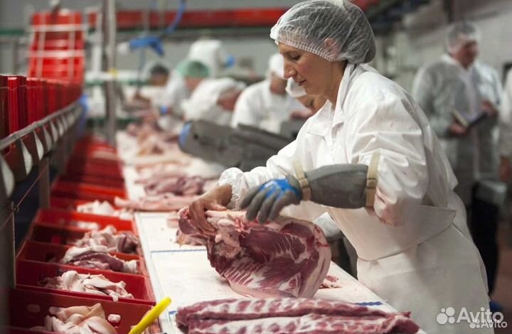 Ищу партнера в бизнес, доход 17154 в мес