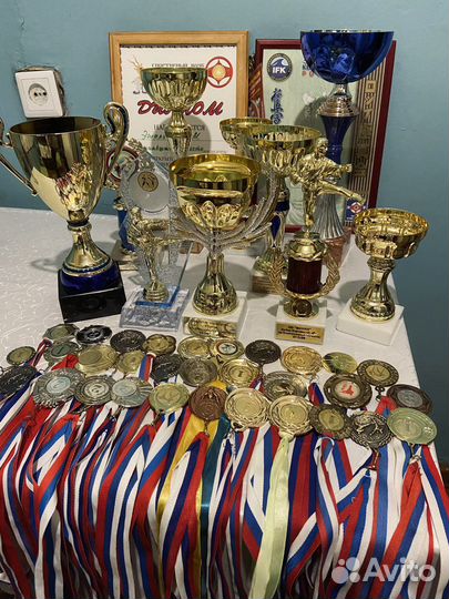 Тренер по Боксу и Кикбоксингу