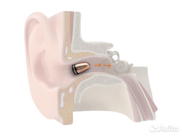 Микронаушник + камера для аккредитации Аренда