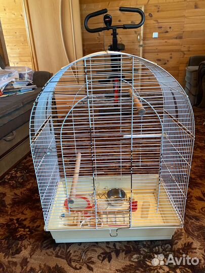 Большая клетка для птиц