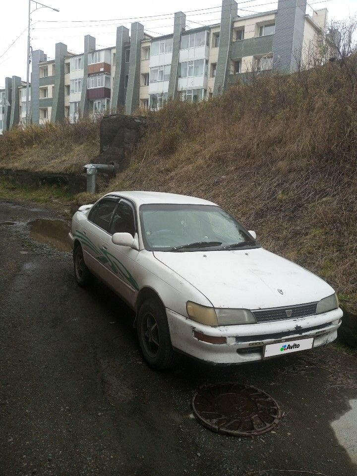 Toyota Corolla: фото владельца