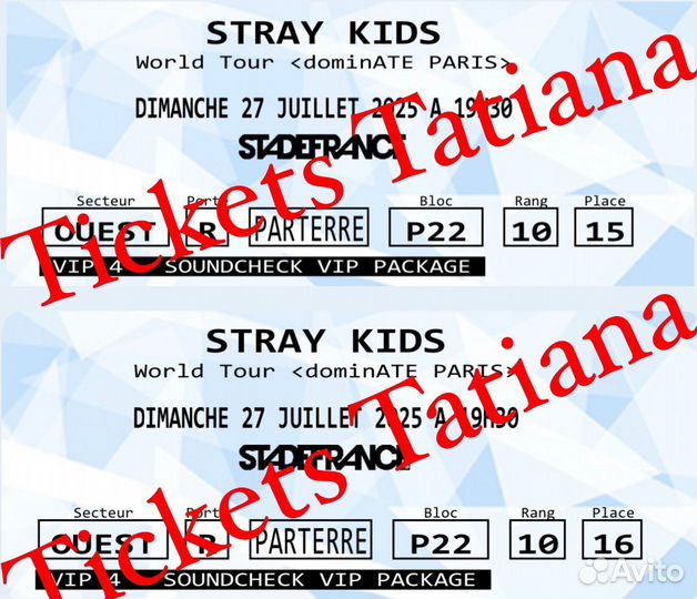 Два билета на концерт Stray Kids в Париже 27.07