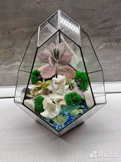 Флорариум Подарок на 8 Марта Цветы