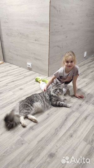 Мейн-кун вязка