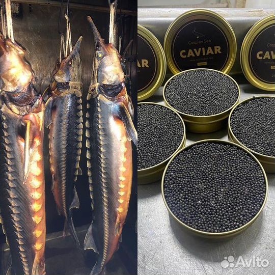 Рыба холодного копчения