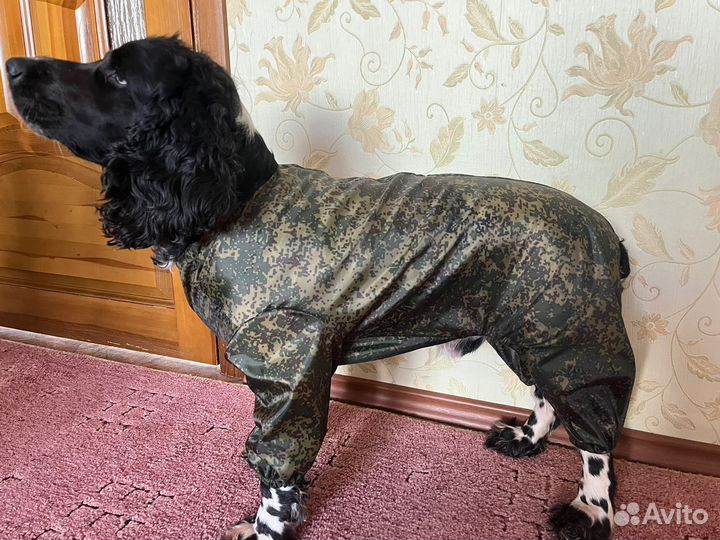 Дождевик комбинезон для собаки