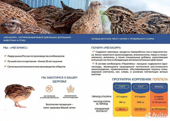 Индейка,перепела