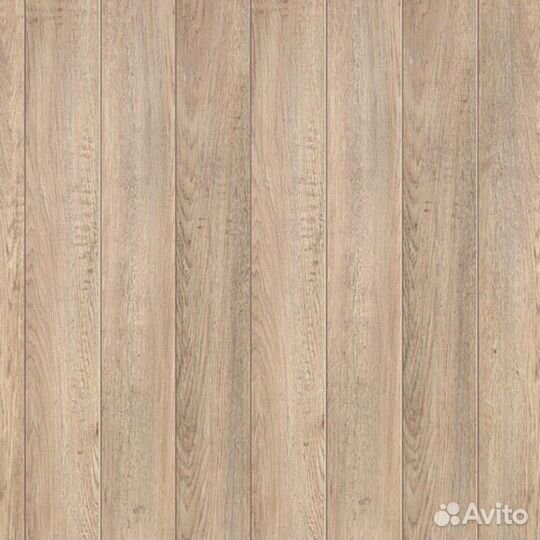 Pilot Линдберг 33 класс