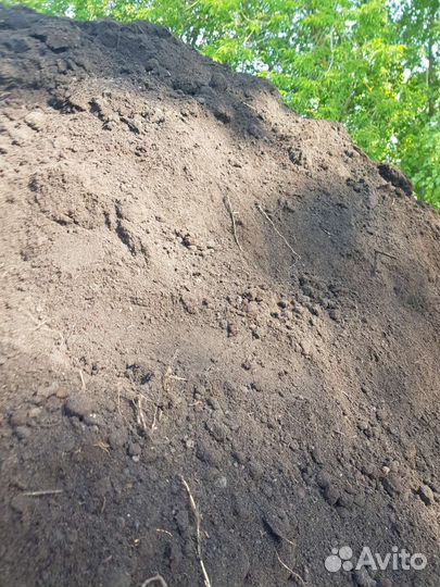 Чернозем Плодородный грунт