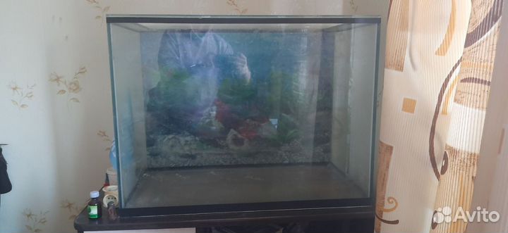 Морской аквариум 185 литров