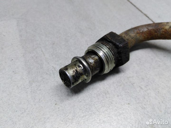 Шланг масляный