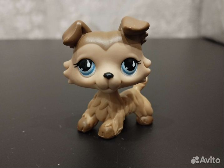 Littlest Pet Shop LPS