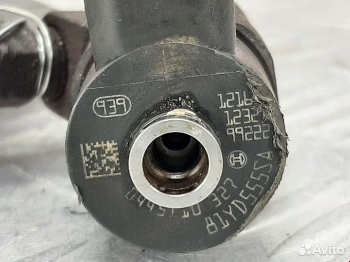 Форсунка Opel Insignia (A) 2010 55566050