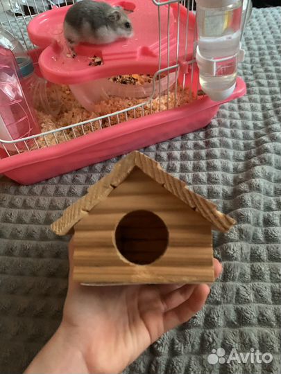 Джунгарский хомяк с клеткой