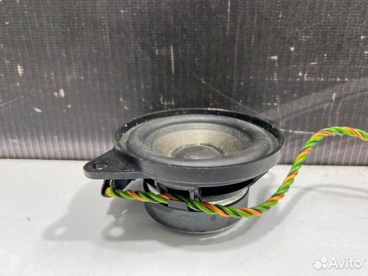 Динамик Bmw X5 E53 M62B44 2001