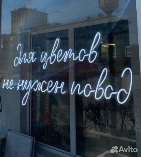 101 Роза букеты Цветы 51 доставка 24/7