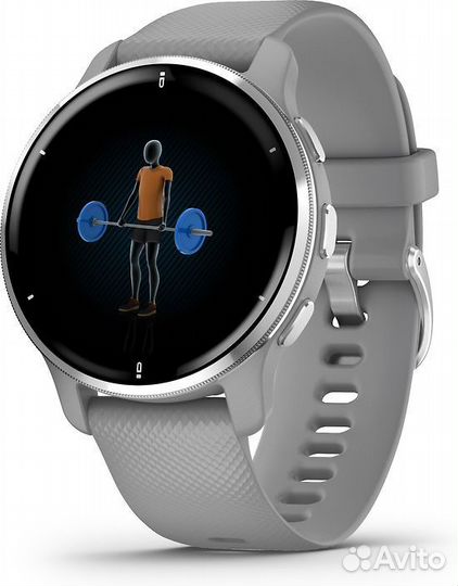 Спортивные часы Garmin Venu 2 plus, серые