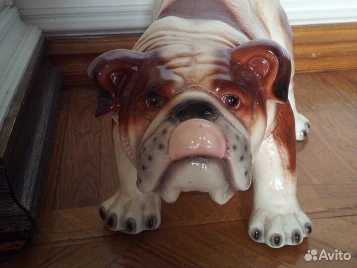 Английский бульдог