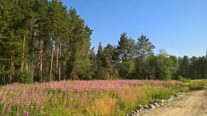 Участок 9 сот. (ИЖС)