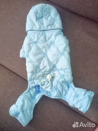 Одежда для мини йорка