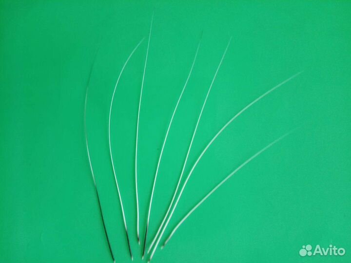 Кошачьи усы