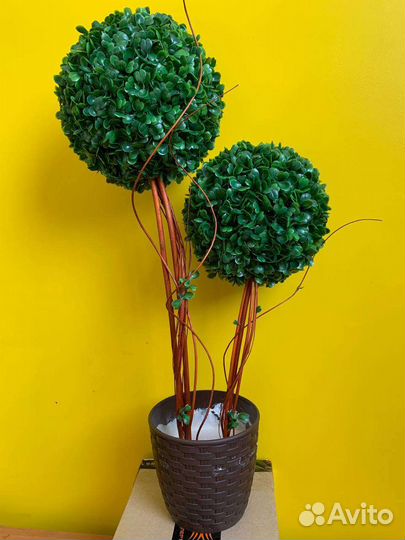 Самшит дерево в горшке,искусственное растение