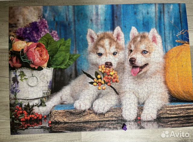 Пазлы 1000/500 деталей